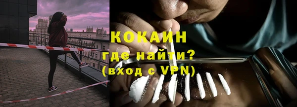 дмт Богородицк