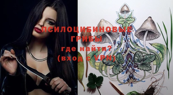 PSILOCYBIN Богородск