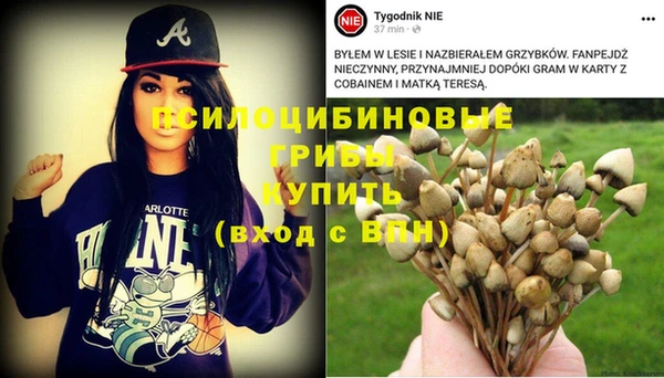 PSILOCYBIN Богородск