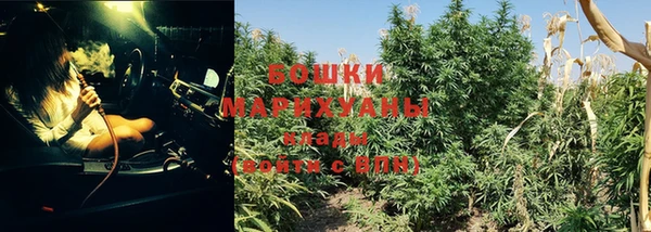 PSILOCYBIN Богородск