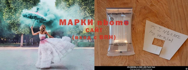 дмт Богородицк